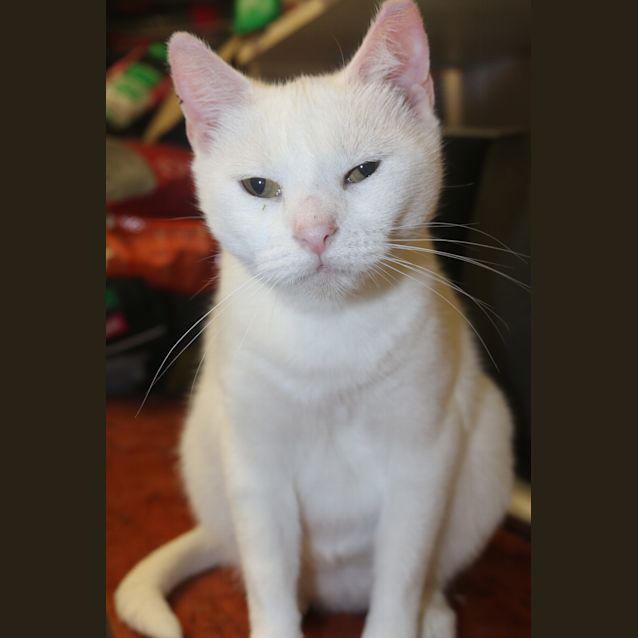 Photo of Millie