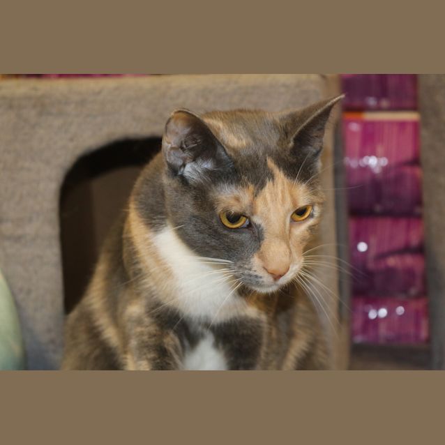 Photo of Niah