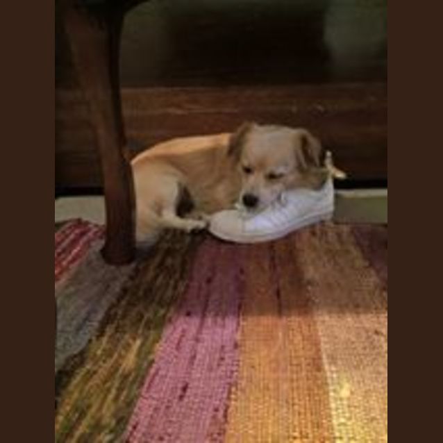 Photo of Garie
