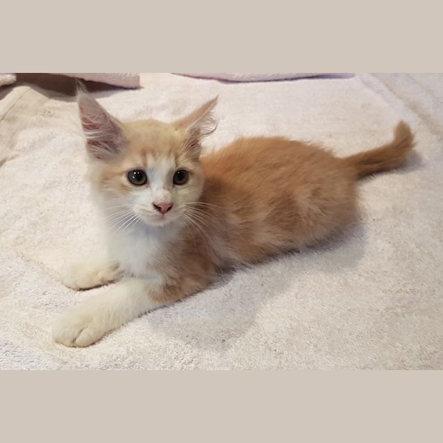 Photo of Simon (4377)