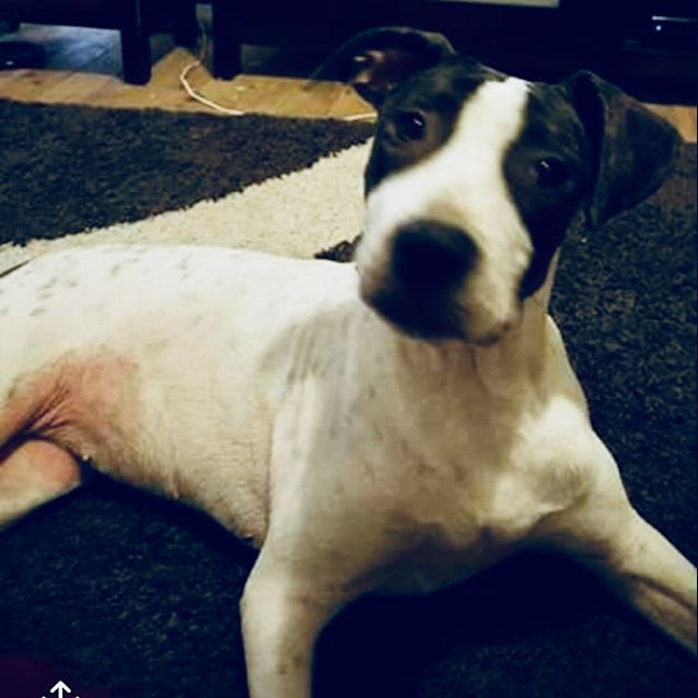 Photo of Xena