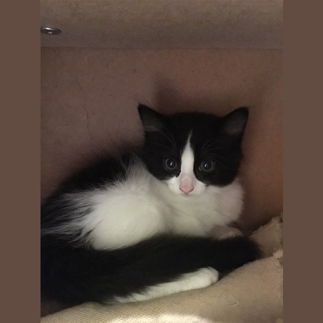 Photo of Sam