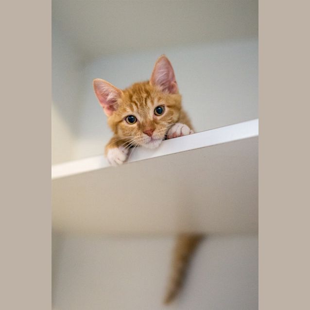 Photo of Fred