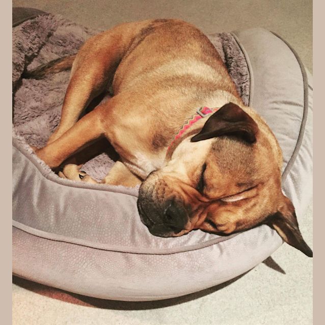 Photo of Coco