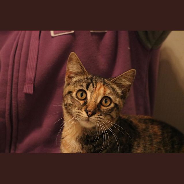 Photo of Raindrop