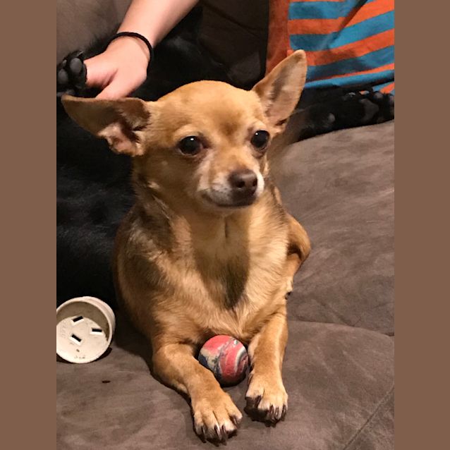 Photo of Zoe