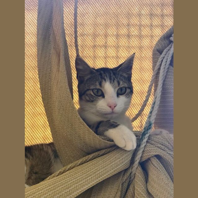 Photo of Gus 