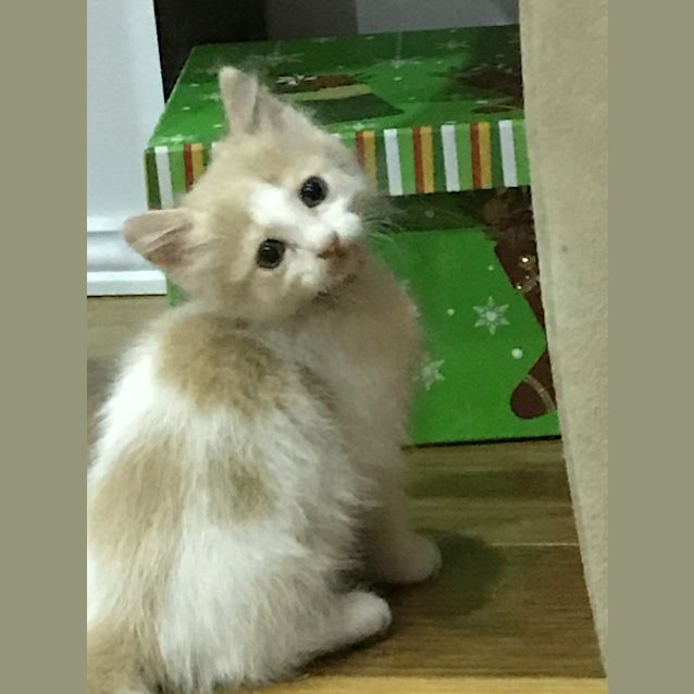 Photo of Crystal 