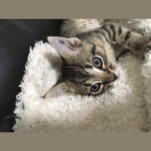 Photo of Remi
