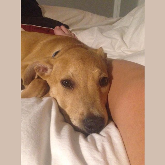 Photo of Todd.... Sweet Little Soul