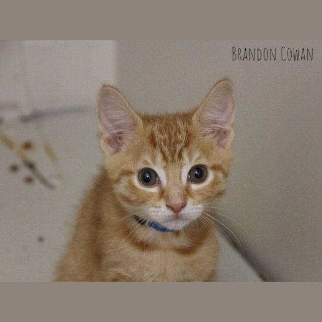 Photo of Liam (4115)