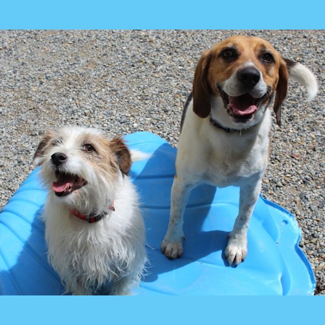 Photo of Izzy And Buddy