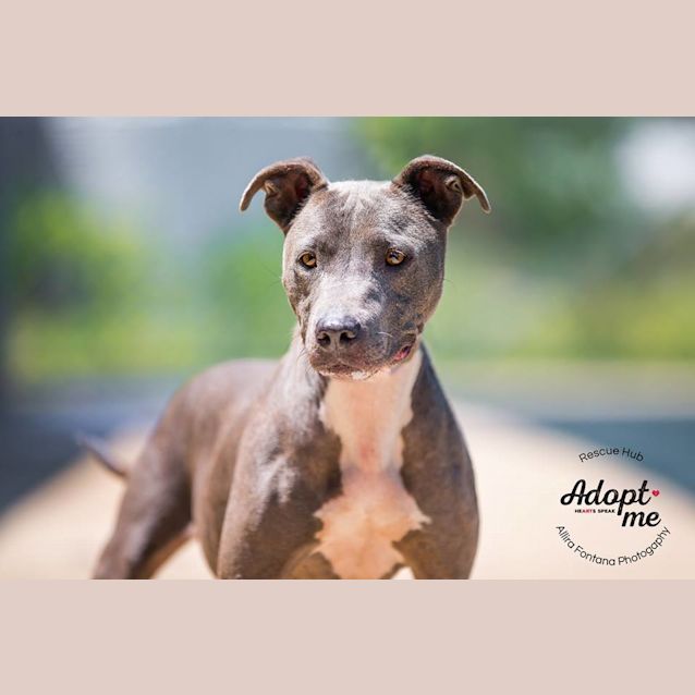 Photo of Anya (Pcc 650)