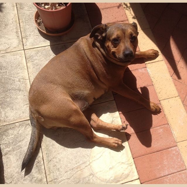 Photo of Dhuie (Av998)