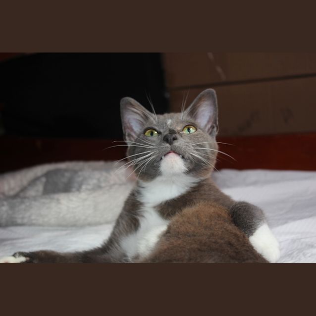 Photo of Zeus