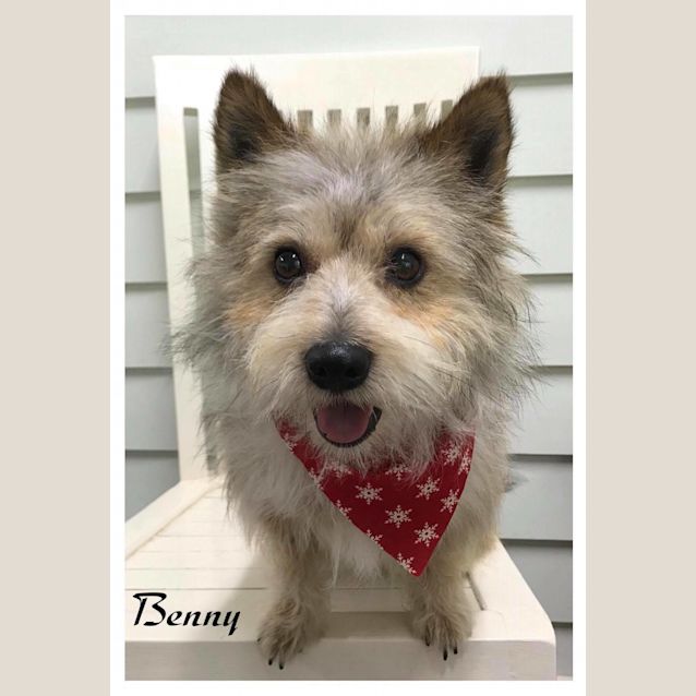 Photo of Benny