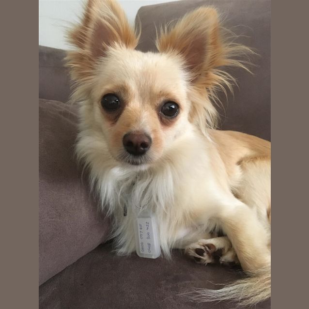 Photo of Betty