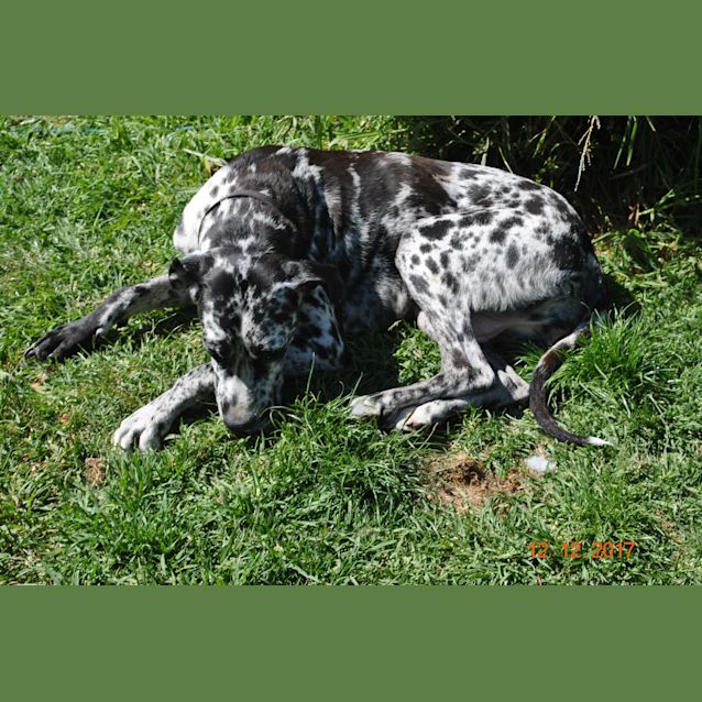 Photo of Paintpot