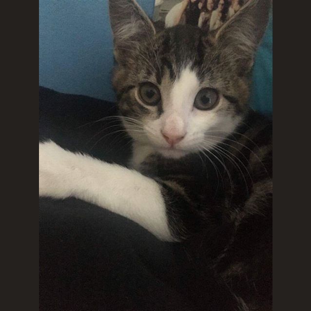 Photo of Monty
