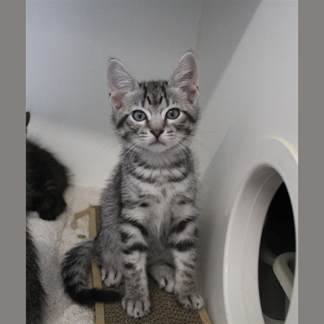 Photo of Zeus