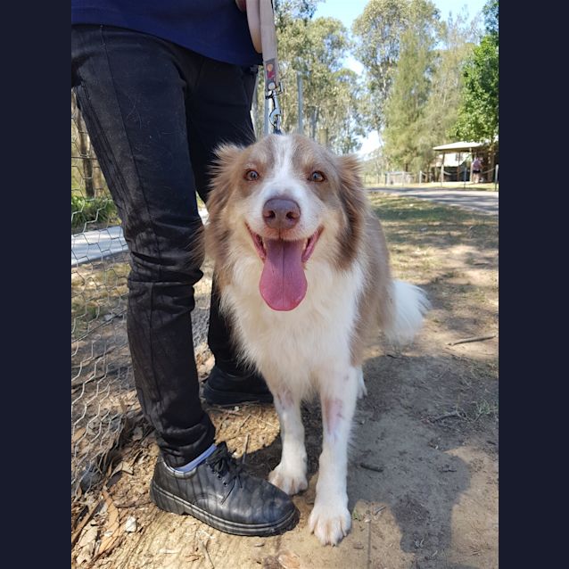 Photo of Rocky