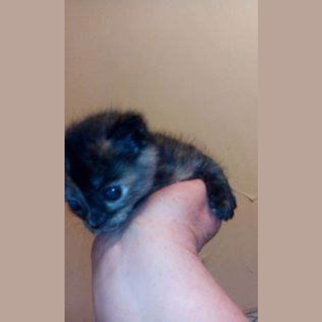 Photo of Mae