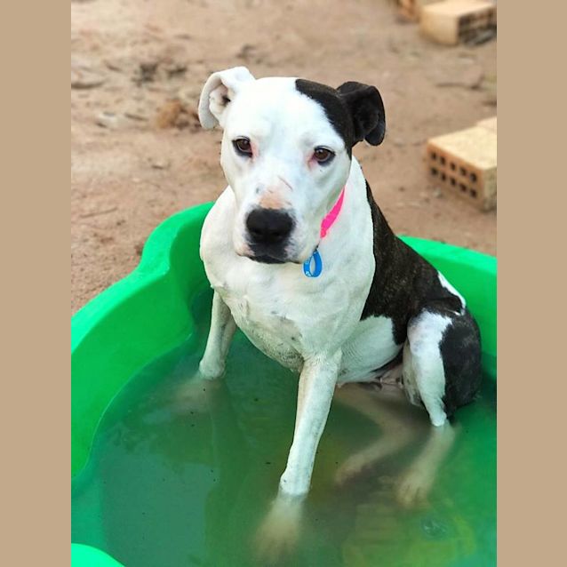 Photo of Rosie