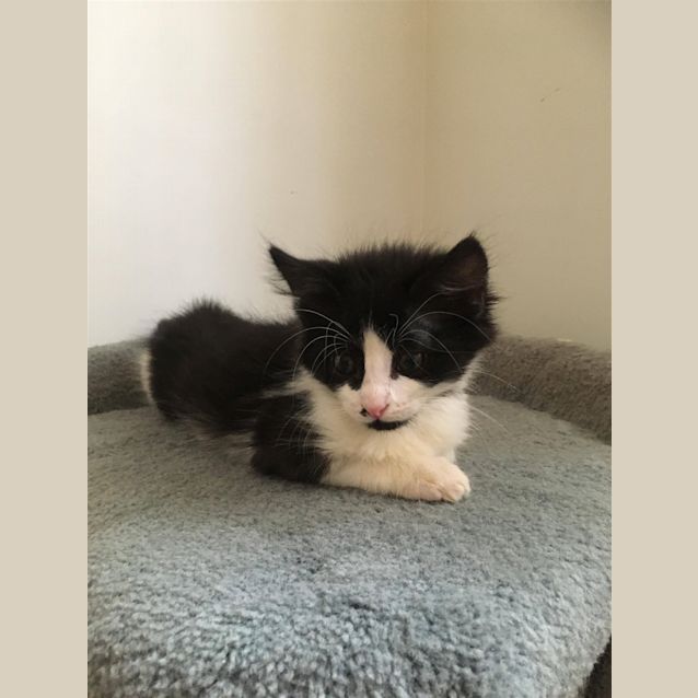 Photo of Bonnie