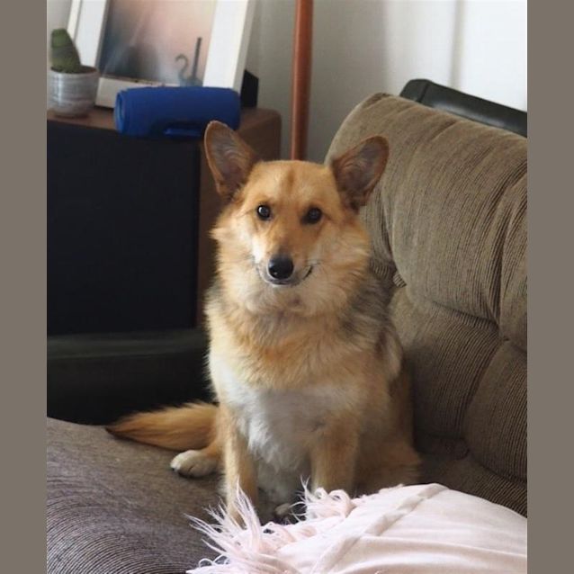 Photo of Alfie