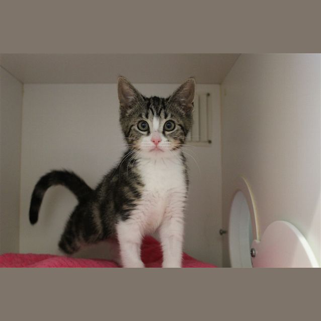 Photo of Lucy