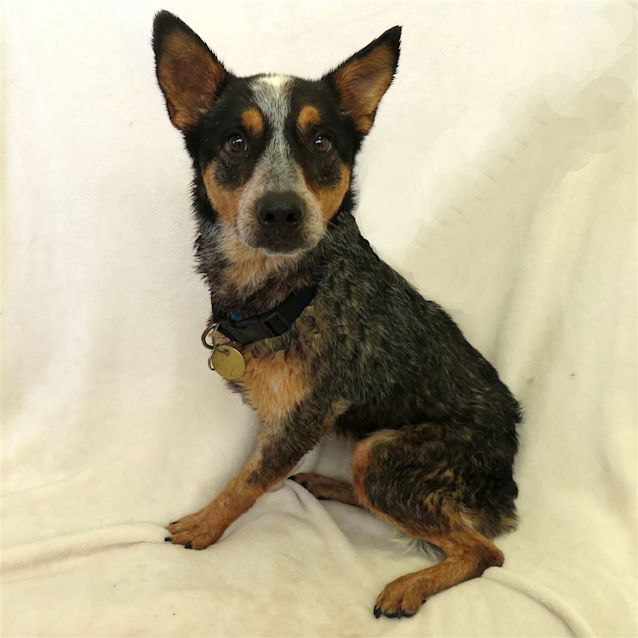 Photo of Evie