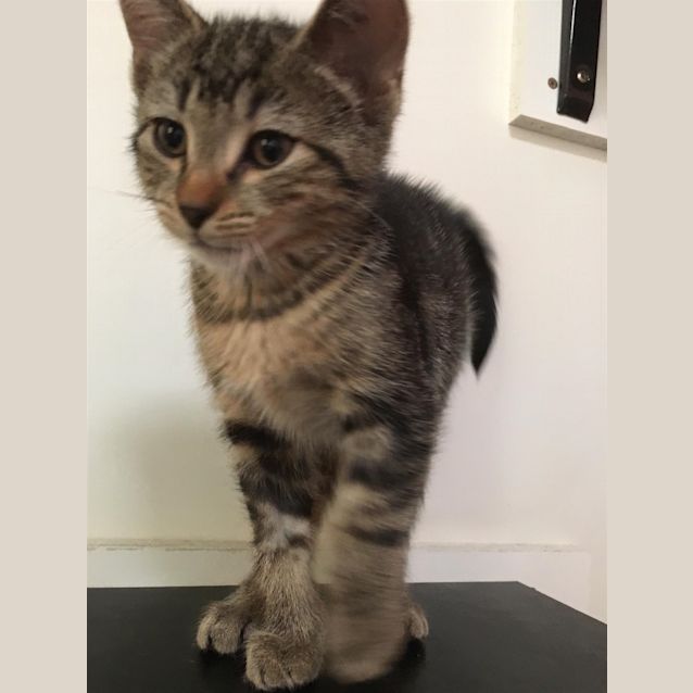 Photo of Zena
