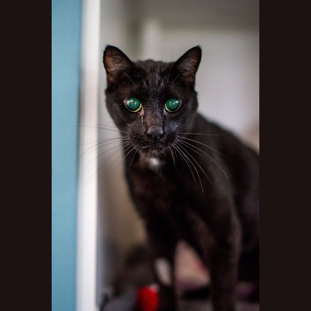 Photo of Lennox