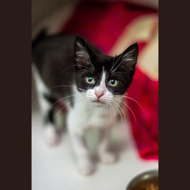 Photo of Oweni
