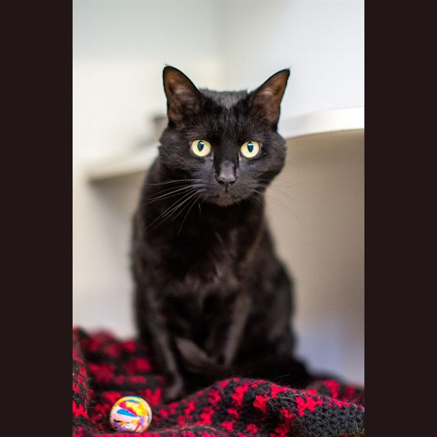 Photo of Lulu