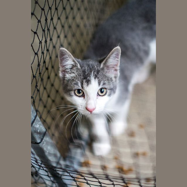 Photo of Polly