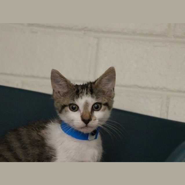 Photo of Chad (4314)