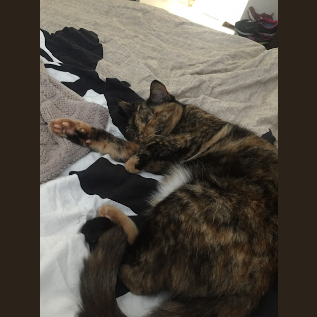 Photo of Evie