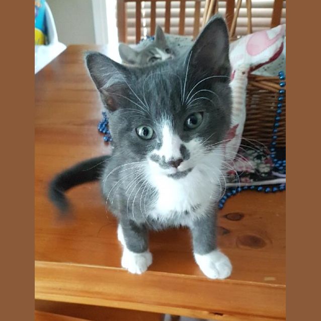 Photo of Morgan Ec0382