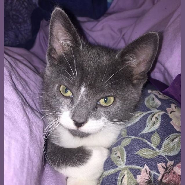 Photo of Jerry Ec0381