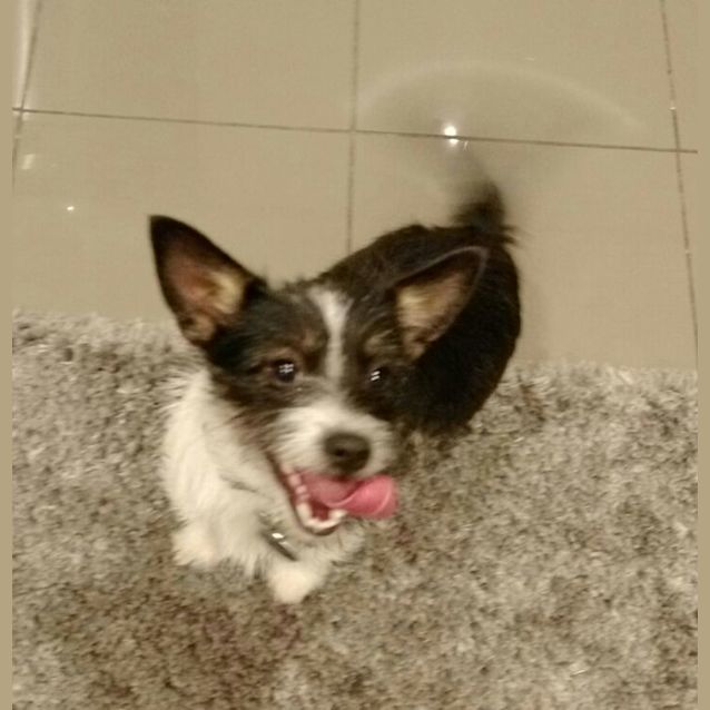 Photo of Zita