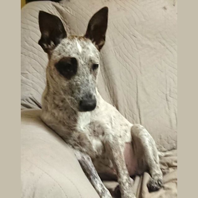 Photo of Wilma