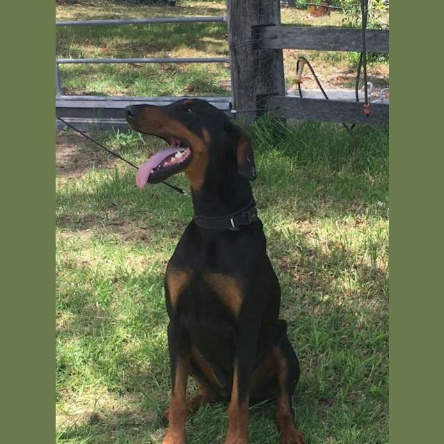 Photo of Moe