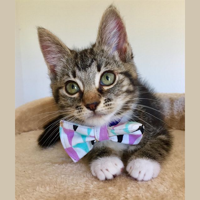 Photo of Ivy