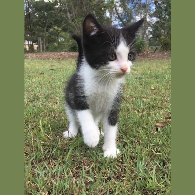 Photo of Calvin