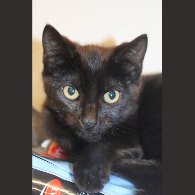 Photo of Doom