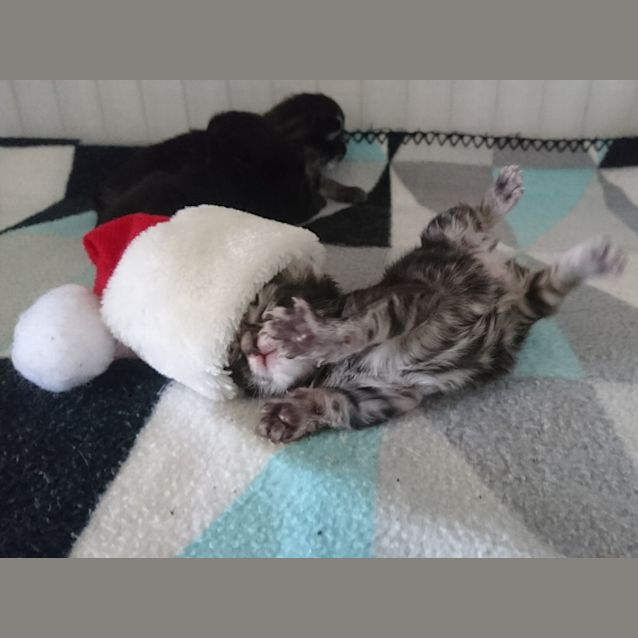 Photo of Zeva