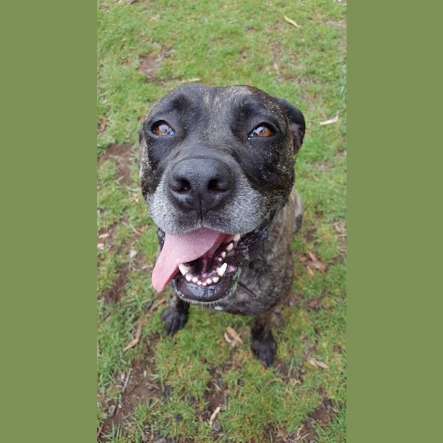 Photo of Miss Lucious