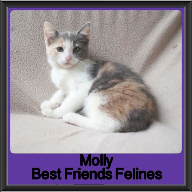 Photo of Molly