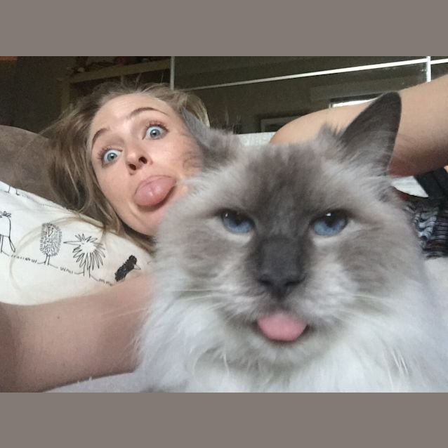 Photo of Abby Cat